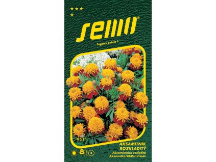 089a9928 bd64 4708 ab12 8710dd5d1dd1