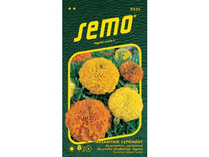 e1917132 86eb 4739 89f6 f7899152ca9e