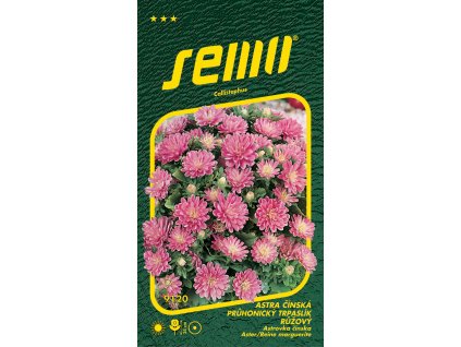 dd633312 d97b 476b b3e8 1b79f3f198d2