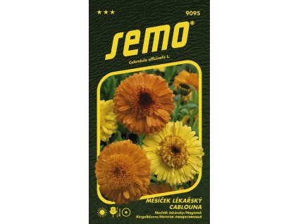 c0775bc2 267c 4442 9e4d 8a76777a569c