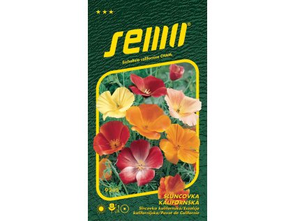 29d15f6a af19 46b8 b65d 78cf34751203