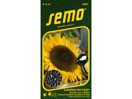 3f22e871 2338 462b a7c3 12ec4c189322