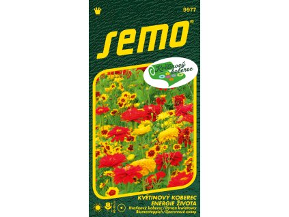 8cdb300a f8e2 4549 96a4 628e9c2dcd02