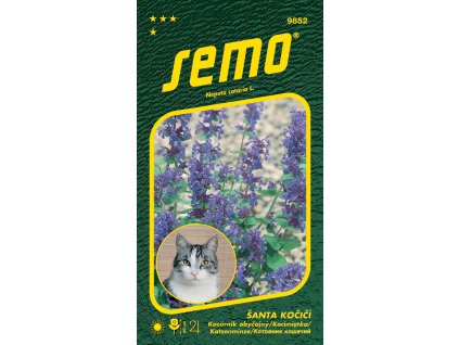 f8c4ad66 e3e9 4d72 af44 66fa6560d7e0