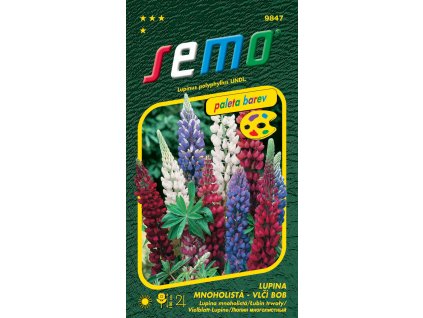 ffc917d6 1d9b 465b bcc9 394249016c72