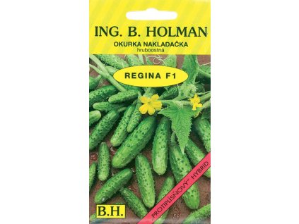 0b8b4ff4 10f1 406f b23f 1e1d0134f743