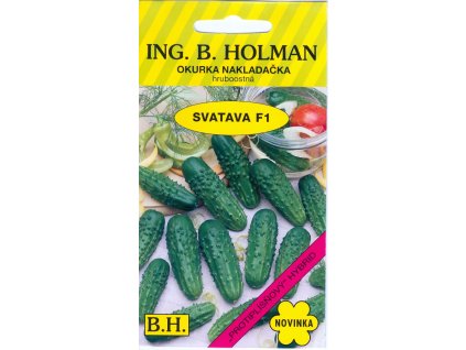 9bca0166 d93f 456f 9b14 a6722963e201