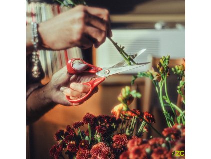 99c4cb2f 4027 4d1a b11a aa3fdc0ed57a