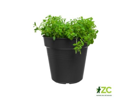 1af9c782 3184 4ada b532 3073ca0334b5