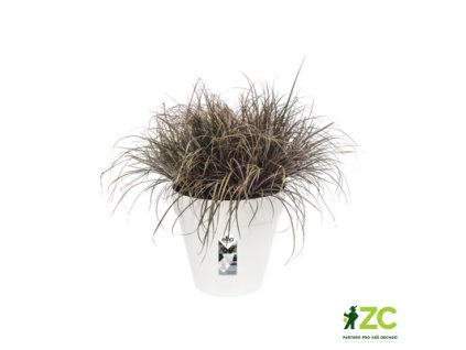 deda73db dc18 486c bffa b7631b7e03c6