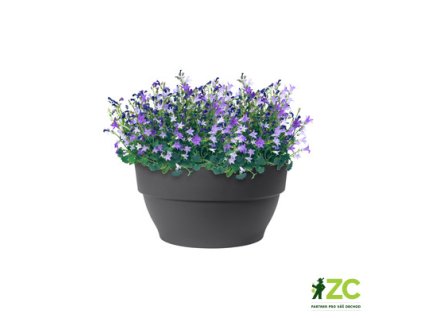 8bc4e800 bcc6 49a4 9d44 9097a5635358