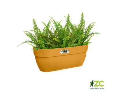 7b6b3ded 5030 4b1c a173 d0d45de24abd