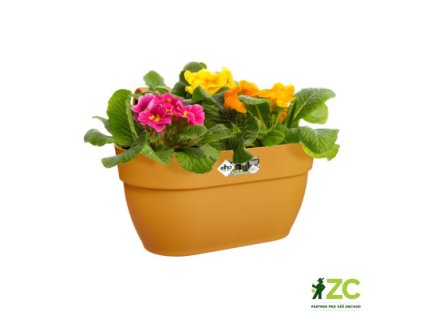 a4045796 2f78 4427 b7f5 7d302158bd65