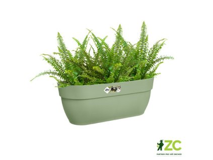 c3d56544 7e7f 4588 bfdc 6dfb09c6eaaf