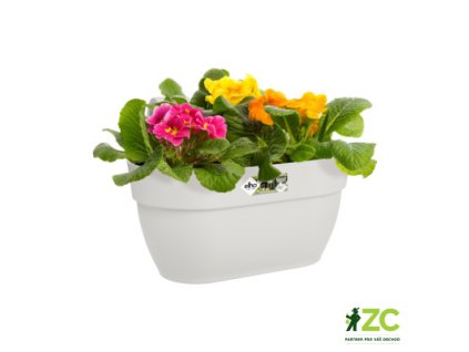 59ce88ff 6b09 439e 9cbd 127eadec993e