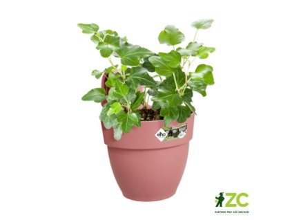 7502c3c0 0c14 462b 91af 5c74eb80470e