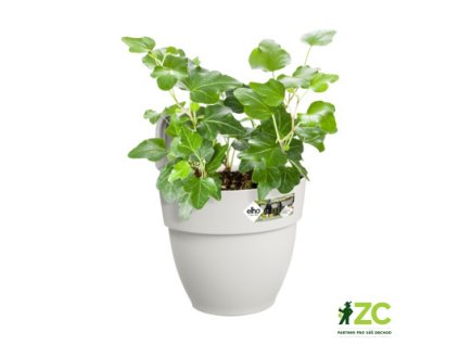 56b9ef5c ecb4 4d44 880a 8f30c6925d05