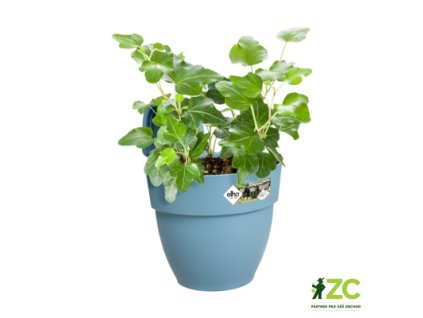 28520b23 46b7 47f8 bb6f 27632e7974b9