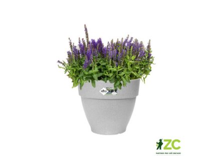 4f4f85fc 7db8 460f b763 58f5302ae042