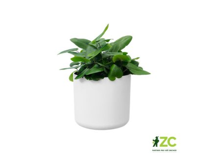 f8be6331 3741 44cc 95a3 f3cc8be9db29