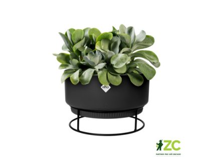 8701737e a939 4a8f be00 9f3807ca144c