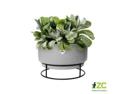 65b333f5 a6a1 4008 a546 c81a7e241b84