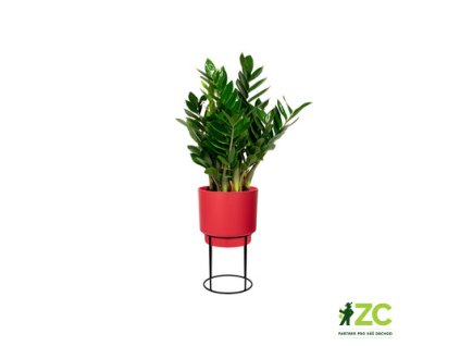 5e29646a 9181 4a2c b6dc e4dc78e192d3