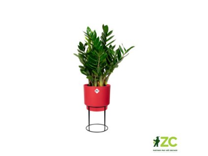 d72e6013 3588 46f8 a427 a18b69c249e2