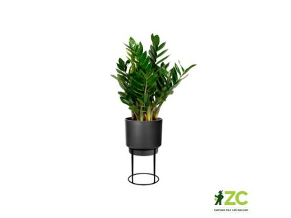 918e7467 6c59 42e1 9aeb 2abe9be32bff