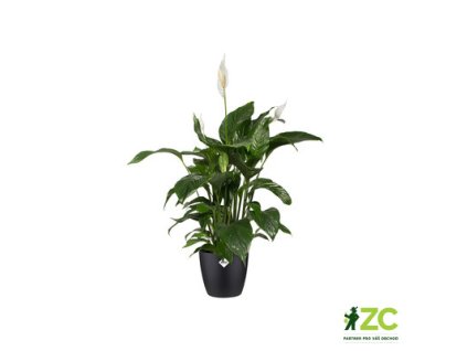 1aeb8a34 4063 4681 917d 1ee247b6a05b