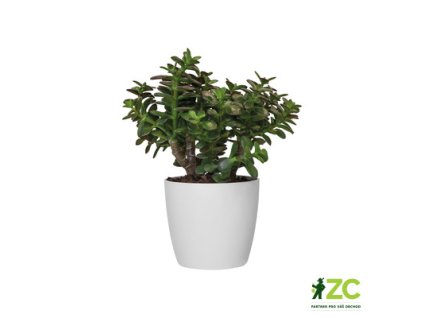 7ce4c361 8e40 4d13 b582 21c49f95e48f