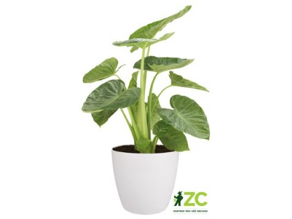 c27ea545 a9c6 4db4 b3c4 2cb7ddd525bf