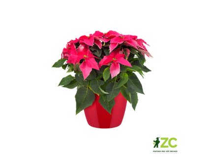 3c240a49 b120 49ad 84a8 d14c01b1e72c