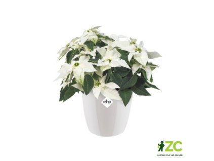 860ef55e c6d1 4812 83ef ec546ecd25b6