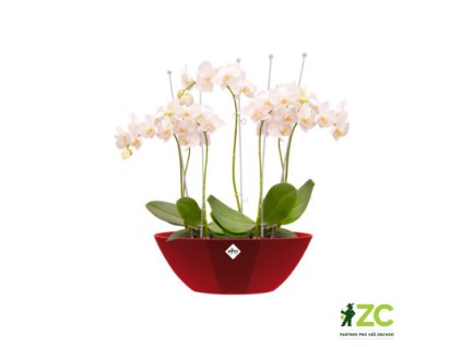 37081da9 ea11 4de0 8fc8 b8b6ee8e191b