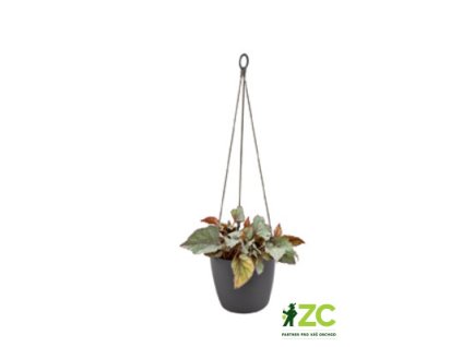 55246cc6 bf38 4f1d a5f7 11cf64f9d7e2