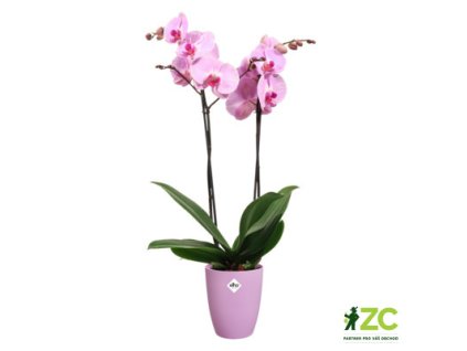 49ffc2a5 c645 4ff9 bf69 f7b48f30553f