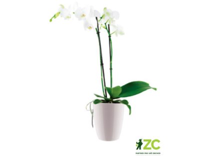 3d8790f0 9d50 4d8d 9c3e e21165038de8