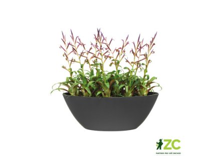 fefe8bae 50dc 44e0 985b 49ada2e05efa