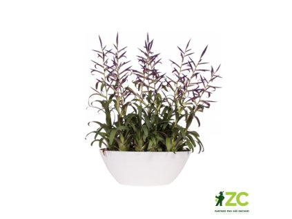 d3ede7f7 483e 4b46 8623 735077b2b63b