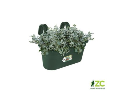 43f0471a 61bc 43e6 9df4 fd9d99e4f44a