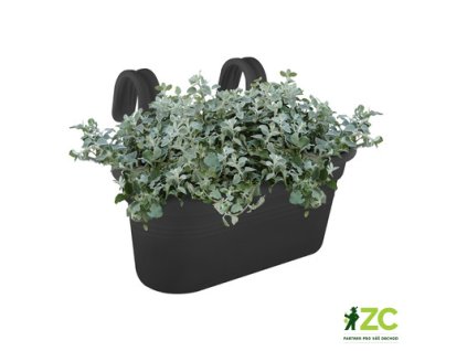 07240cb6 566e 4c1f b941 0e6d1dbbed20