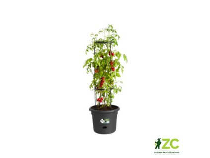 988a4cef 12ea 4e95 95c6 b04437899162