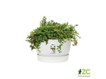 0262ca87 a550 4934 bec8 a952b20d9d45