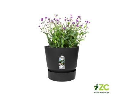 7f80f617 da2e 4631 afa2 428d4a935161