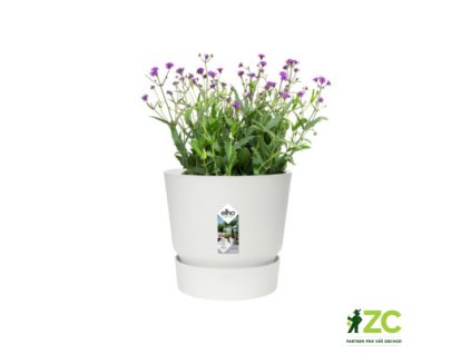 01ea6125 9fbc 4b54 9747 770bd33f8893