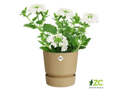 ca7decba 4167 42e7 b5a5 0bf3b8a3468e