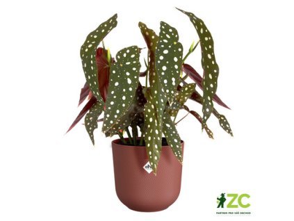 d7f73abf f2b9 40a9 8b52 e3442e96973c