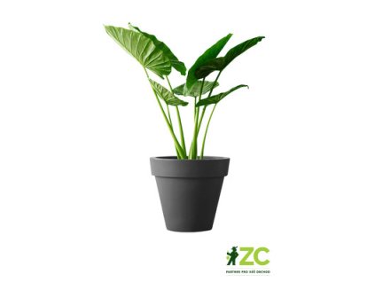 4f3a6703 e4ae 4fd5 b4b3 9c99ba47a5a2