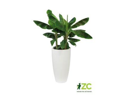 91ec1ceb b302 4d69 8559 59cc3983a4d8